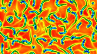Three-component reaction-diffusion model