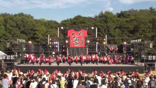 2013 こいや祭り 大阪城公園　メイン会場 佛教大学よさこいサークル紫踊屋