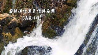 雜阿含617經(1版)5-3.石頭絆你還是你絆石頭[德藏法師](有字幕)