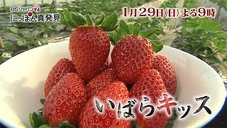 にっぽん真発見 ～茨城県～ | BSジャパン