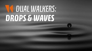 Dual walkers: drops and waves