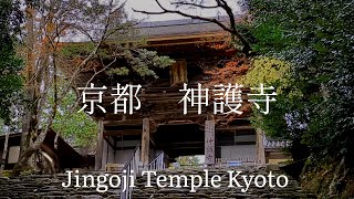 Japan Tourism Kyoto Prefecture Kobo Daishi is the head priest of Jingoji Temple