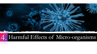 Harmful Effects of Microorganisms : \