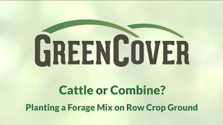 Cattle or Combine? Planting a Forage Mix on Row Crop Ground