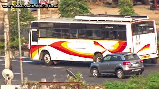 APSRTC Bus and Car Racing in National Highway