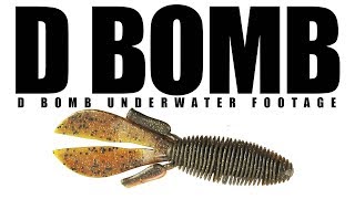 D Bomb Underwater Footage