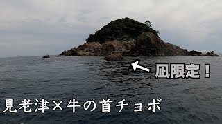 【滅多と上がれない磯】身動き不可能！見老津エリア１小さな磯でグレを釣る！