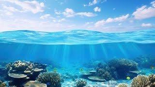 Ross Lara - Oceans