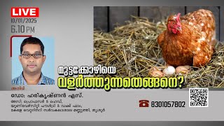 DD KRISHI    ||മുട്ടക്കോഴിയെ വളർത്തുന്നതെങ്ങനെ ? || | 10-01-2025 @06:10 pm | Live