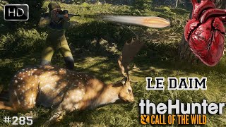 THE HUNTER COTW [ASTUCES \u0026 CONSEILS] #285 UNE NOUVELLE CHASSE AUX DAIMS SUR TE AWAROA 2024