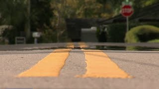 Central Florida neighbors push for safety improvements, speed humps