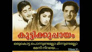 oru kotta ponnundallo ഒരുകൊട്ട പൊന്നുണ്ടല്ലോ മിന്നുണ്ടല്ലോ(Dileep. v)