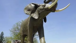 Jumbo The Elephant Monument In St Thomas,Ontario Canada(Brief History)