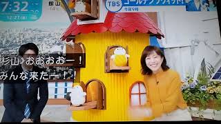 シマエナガ一家全員集合シマエナガちゃーん(*｣´□`)｣今年もお疲れ様でした〜٩(ˊᗜˋ*)و皆様良いお年を(  . .)\