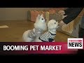 Pet business booming in Korea as new services enter market