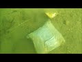 Scuba diving for treasure and Fun near Nimbus Dam on the American River