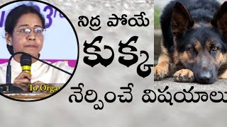 నిద్ర పోయే కుక్క నుంచి నేర్చుకోవాల్సిన నీతి కథ || డి.ఎస్.పి సరితా గారి ప్రసంగం || DSP Saritha