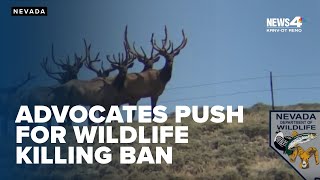 Wildlife advocates renew push for ban on animal killing contests in Nevada