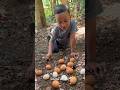 NEMU TELUR AYAM DI HUTAN #art #komedi #comedyvideos #shortvideo #shorts