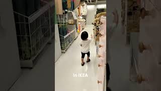 Getting New Dog In Ikea