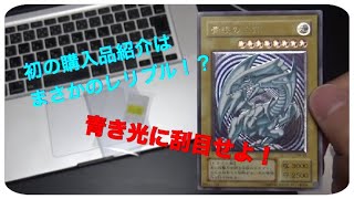 【遊戯王】青眼の白龍のレリーフが、ありえないほどカッコよかったんだが(^^)?