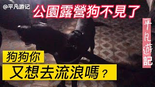 【合集一】08自駕西藏，牛人旅行記送的流浪狗晚上掙脫繩子跑了,妹子急哭了。The dog was missing at night, the girl cried in distress.