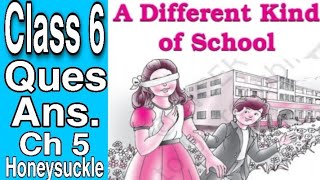 Ch 5: Class 6: Question Answers: A different kind of school: English