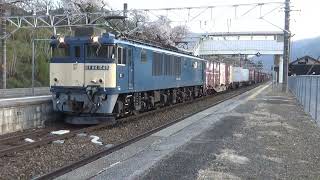 【EF64】コンテナ貨物列車　81レ稲沢→南松本「383系特急しなの」を先行させるために中央西線洗馬駅2番線に運転停車…この日は「しなの」が遅延しが追い越すシーンは見られませんでした