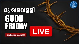 വിശുദ്ധവാര തിരുക്കർമ്മങ്ങൾ II ദുഃഖവെള്ളി II പെരിങ്ങഴ സെന്റ്. ജോസഫ് തീർത്ഥാടന ദേവാലയത്തിൽ നിന്ന്