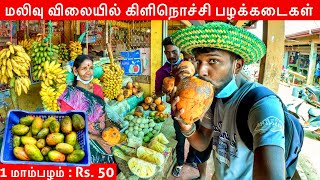 மலிவு விலையில் இலங்கை பழங்கள்🍇 😍Kilinochchi Fruit Shop | Jaffna Suthan