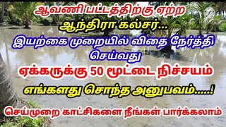 ஆவணி பட்டத்திற்கு ஏற்ற ஆந்திரா கல்சர் | ஏக்கருக்கு 50 மூட்டை நிச்சயம் இயற்கை முறையில் விதை நேர்த்தி