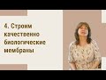 МОИ ОСНОВНЫЕ ПРИНЦИПЫ ЗДОРОВЬЯ