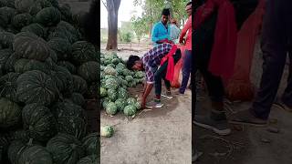 #pumpkin #farming #pumpkins #forming #farmer