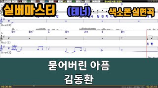 [은성 반주기] 묻어버린아픔 - 김동환