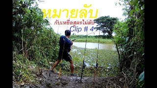 หมายลับ กับเหยื่อสูตรไม่ลับ # 4 (ตกปลาแม่น้ำอิง คลิปถ่ายวันที่ 4)