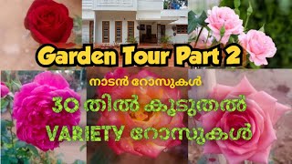 നാടൻ റോസുകളുടെ കലവറ||garden tour malyalam||rose varities||Rice\u0026 magic