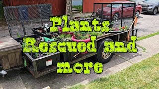 Plants Rescued and More