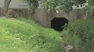 Remains found in Daviess County in 2015 ID'd as missing person from 1981; Investigation now a homici