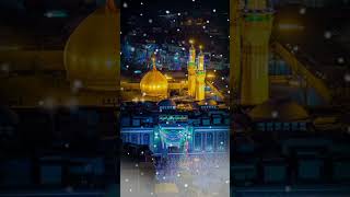 Wakiya Karbala status | Haji Tasneem Aarif ❤ #viral #youtubeshort #shorts #subscribe