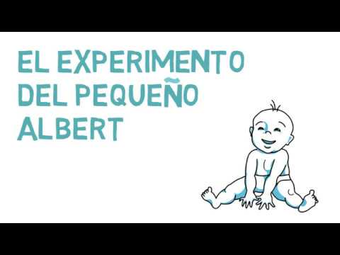 Experimento Del Pequeño Albert De Watson - Conductismo ...