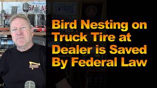 Bird Nesting on Truck Tire at Dealer is Saved by Federal Law