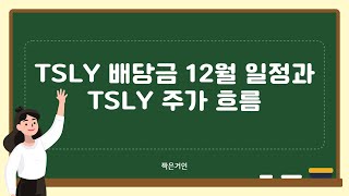 TSLY 배당금 12월 일정과 TSLY 주가 흐름