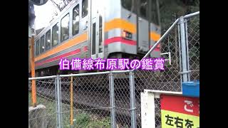 伯備線布原駅の鑑賞