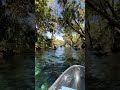 Adventure is CLEAR at Get Up And Go Kayaking Silver Springs #EcoTour #Kayaking #FloridaSprings