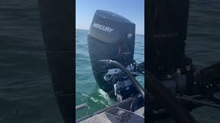 Mercury Verado V 10 400 hp #fishing #justfishing