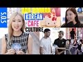 SOS: Korea's Unique Cafe Culture 한국의 다양한 이색 카페 문화 이야기 | MEEJMUSE