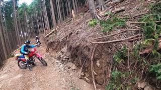 セロー250オフロード一泊ツーリングその4　東吉野林道帰り道　メッチャ速いっす。