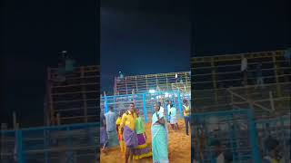 jallikattu இனி இங்கதான்💥#shorts #jallikattu #jallikattukaalai #jallikattusong #jallikattu2024 #viral