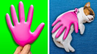 Cute Hacks For PET Owners! Cleaning Hacks, Gadgets For Pets, DIY Crafts By A PLUS SCHOOL
