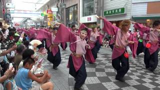 櫻嵐洛（さらら） １２日 帯屋町 本家高知よさこい２０１１ mususukunjp